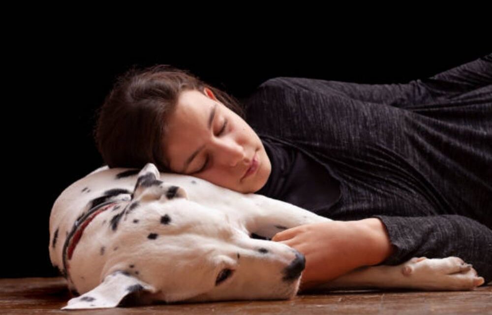 ¿Que Significa Soñar con Perros?