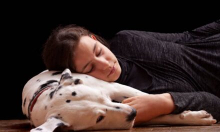 ¿Que Significa Soñar con Perros?