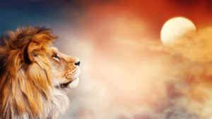 soñar con leones