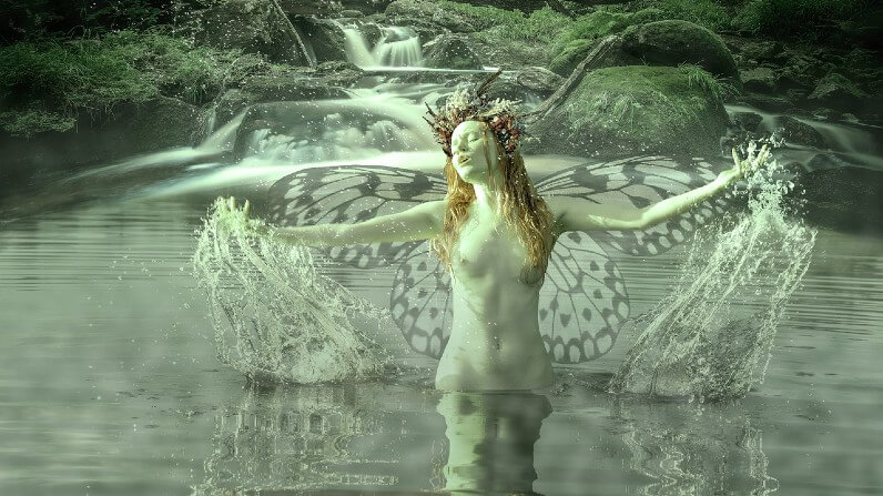 Que son las Ninfas